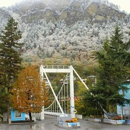 Tamarioni Hotel Borjomi Luaran gambar