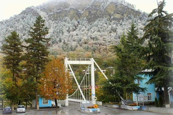 Tamarioni Hotel Borjomi Luaran gambar